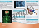 Inside of our Functional Neurology Brochure